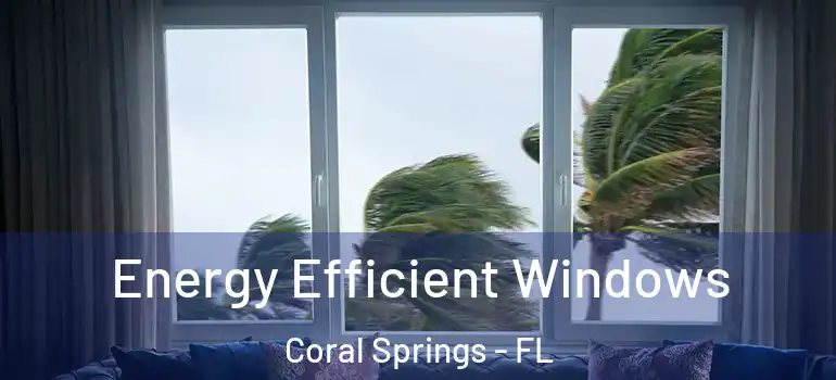  Energy Efficient Windows Coral Springs - FL