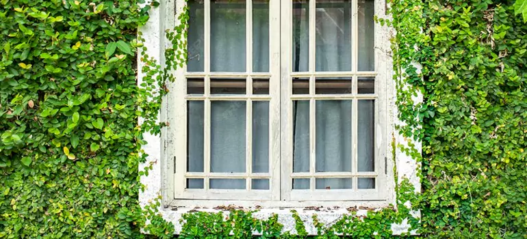 Garden Window Repair Near Me in Coral Springs, FL